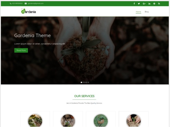 Gardenia - WordPress theme