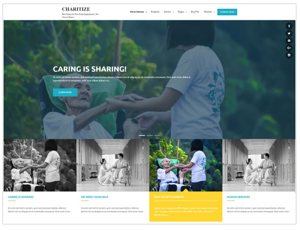 Charitize-WordPress-theme