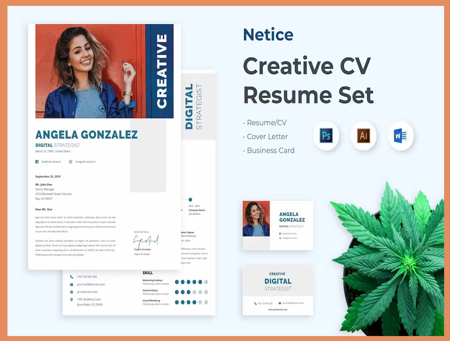 Netice Professional Creative CV Resume Set by Envato Elements