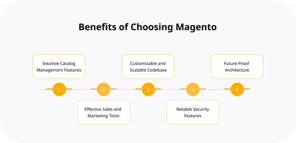 Magento for Business